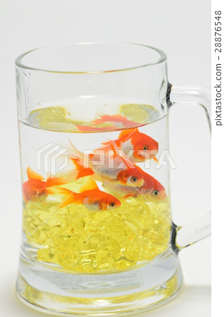 金魚和啤酒杯（夏天的形象） 28876548