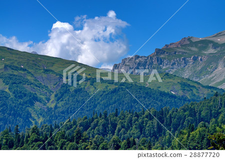 Mountain landscape with snow and forest Mountain landscape with snow and forest 28877720