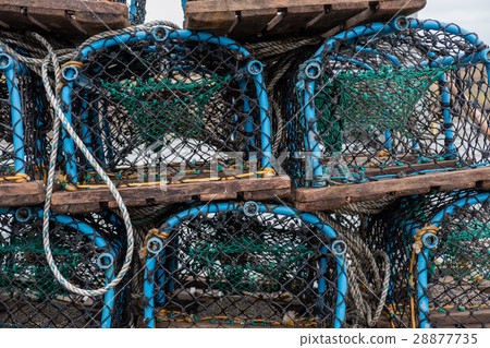 Group of fist net traps 28877735