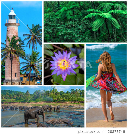 Sri Lanka travel collage 28877746