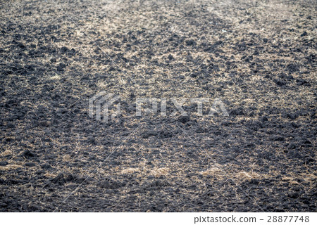 Plowed soil for key farming 28877748