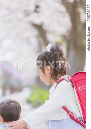 女生 女 女性 28878435