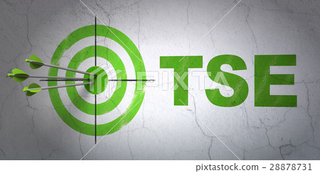 Stock market indexes concept: target and TSE on 28878731