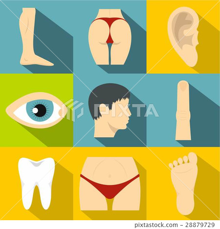 Human body icons set, flat style Human body icons set, flat style 28879729