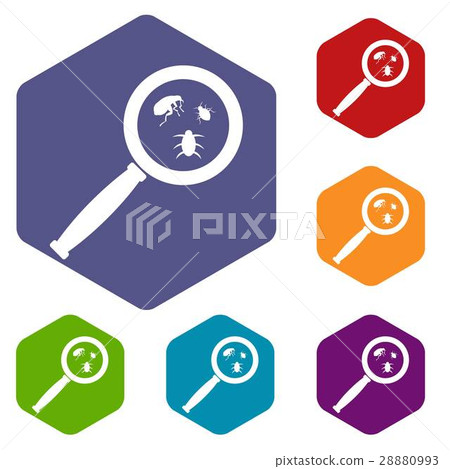 Magnifier and insects icons set Magnifier and insects icons set 28880993