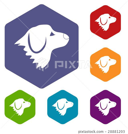 Retriever dog icons set 28881203