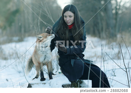 Girl and fox winter portrait 28882088