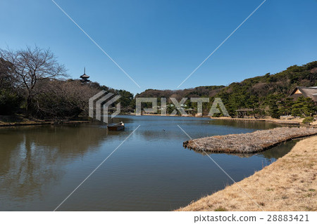 在Sankei en gaien，橫濱的Oike池塘 28883421
