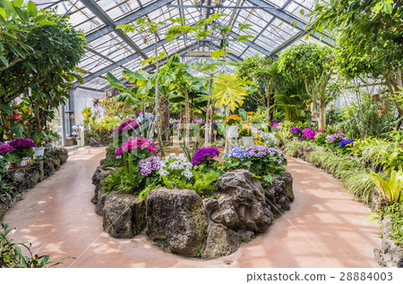 和歌山縣植物園綠化中心 照片素材 圖片 圖庫