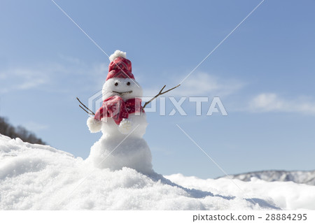 Snowman 28884295
