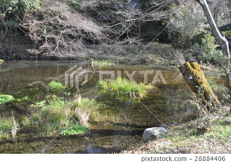 A pond 28884406