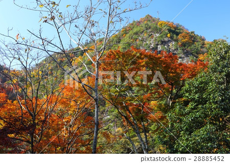 六甲花园露台图片