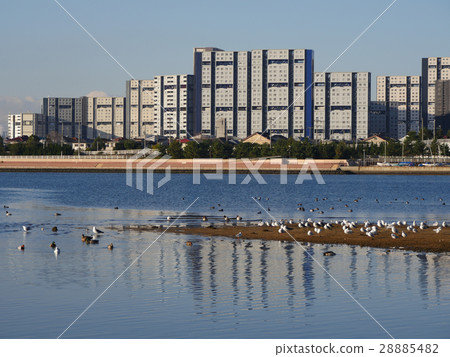 Kaoruen Beach (Omaehama) where many birds fly and Ashiya Seaside Town Kaoruen Beach (Omaehama) where many birds fly and Ashiya Seaside Town 28885482