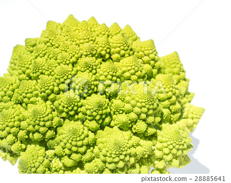 Romanesco similar to broccoli Romanesco similar to broccoli 28885641