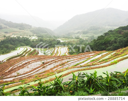 石門梯田 28885714