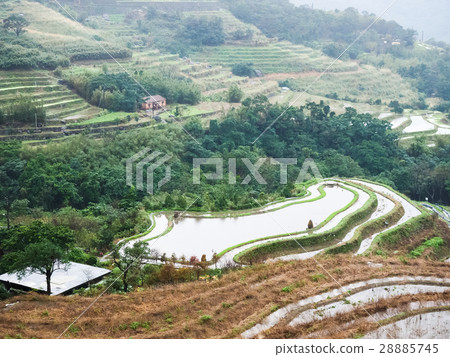 石門梯田 28885745