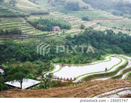 石門梯田 28885747