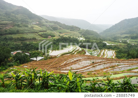 石門梯田 28885749