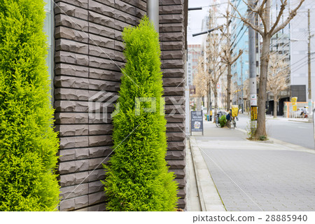 伊東屋町 伊東屋町 28885940