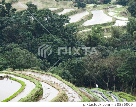 石門梯田 28886009