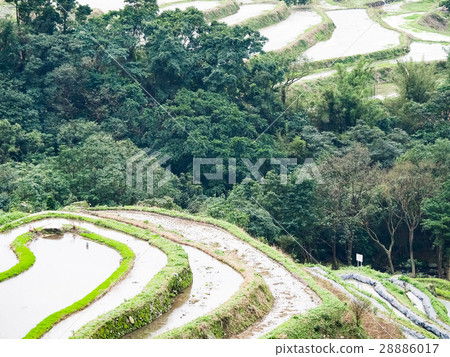 Shimen Terrace 28886017