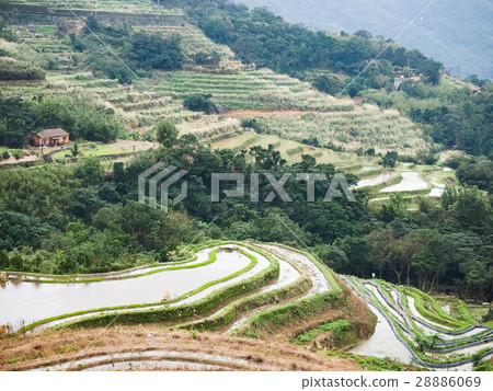 石門梯田 28886069