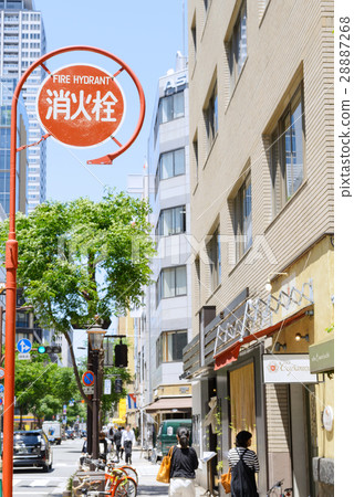 三橋橋樑肌肉 三橋橋樑肌肉 28887268