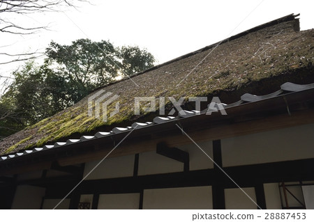 Thatched houses Thatched houses 28887453