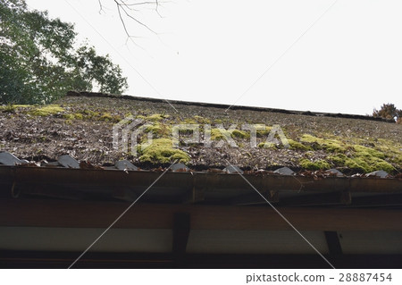 Thatched houses Thatched houses 28887454