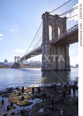Brooklyn Bridge Brooklyn Bridge 28887639