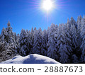 Yatsugatake的冰 - 冰和藍天 28887673