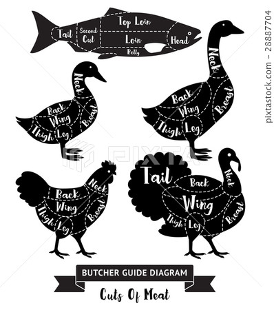 Butcher guide cuts of meat diagram. Butcher guide cuts of meat diagram. 28887704