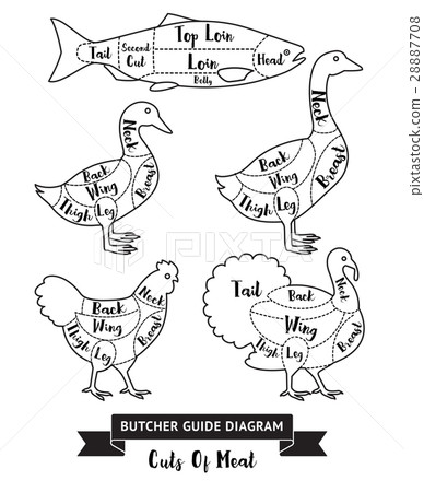 Butcher guide cuts of meat diagram. Butcher guide cuts of meat diagram. 28887708
