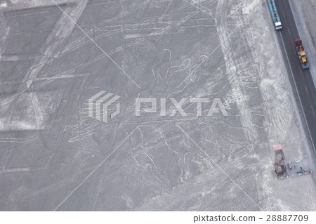 Sightseeing spot of South America Peru viewing the world heritage Nazca's landscape "tree" from above Sightseeing spot of South America Peru viewing the world heritage Nazca's landscape "tree" from above 28887709