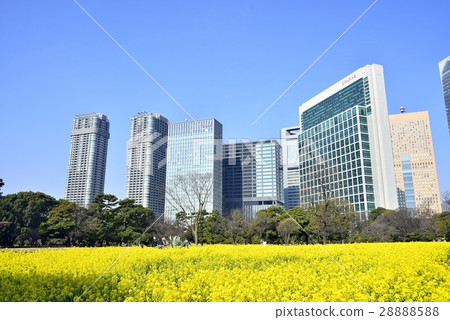 Tokyo City landscape Hamarikyū Imperial garden 28888588