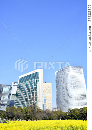 Tokyo City landscape Hamarikyū Imperial garden 28888591