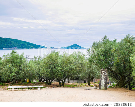 Shodoshima Olive Park: Lush olive groves and views of the Seto Inland Sea Shodoshima Olive Park: Lush olive groves and views of the Seto Inland Sea 28888618