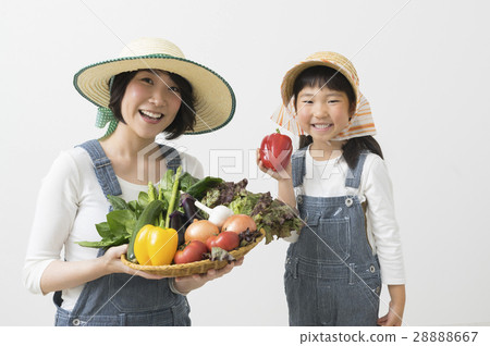 Mother and daughter of vegetable farmer 28888667
