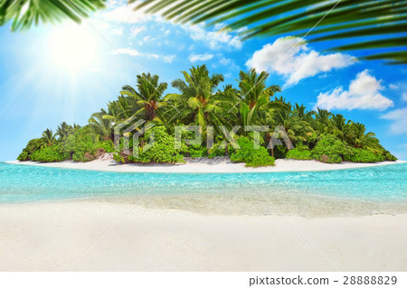 Whole tropical island within atoll in Ocean. 28888829