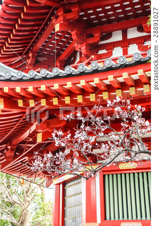 Plum and five-storied pagoda 28891027