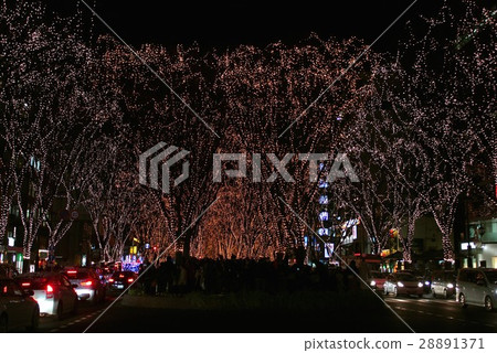 Senzendai街道的聖誕節照明在仙台市 28891371