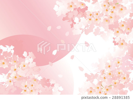 Cherry light Hanamaru 28891385