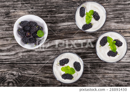 homemade yogurt with mulberry and mint in cups homemade yogurt with mulberry and mint in cups 28891430