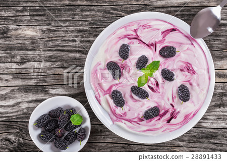 homemade yogurt with mulberry and mint in cups 28891433