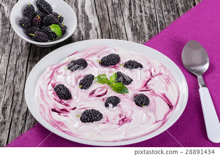 greek  yogurt with colored stains and mulberry 28891434