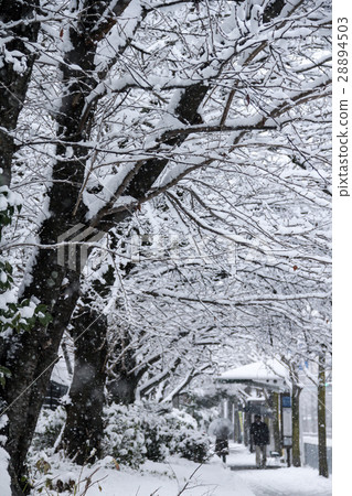 在京都鎮的大雪風景，在Maruta鎮的大雪 28894503