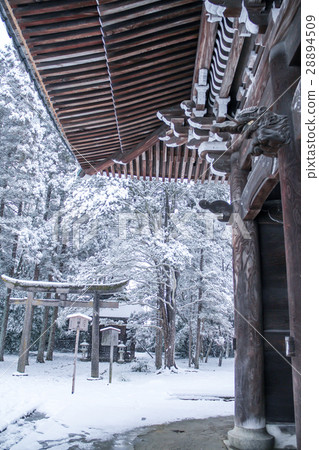 在Kiyohwaji寺內，雪nobushon和蝦龍Atago黃金公司 28894509