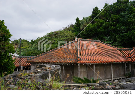 二月Kerama群島72 Kejirushima島，Takara家庭 28895081