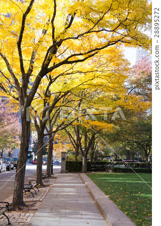 battery park in Manhattan battery park in Manhattan 28895272