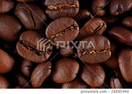 Coffee beans background 28895940